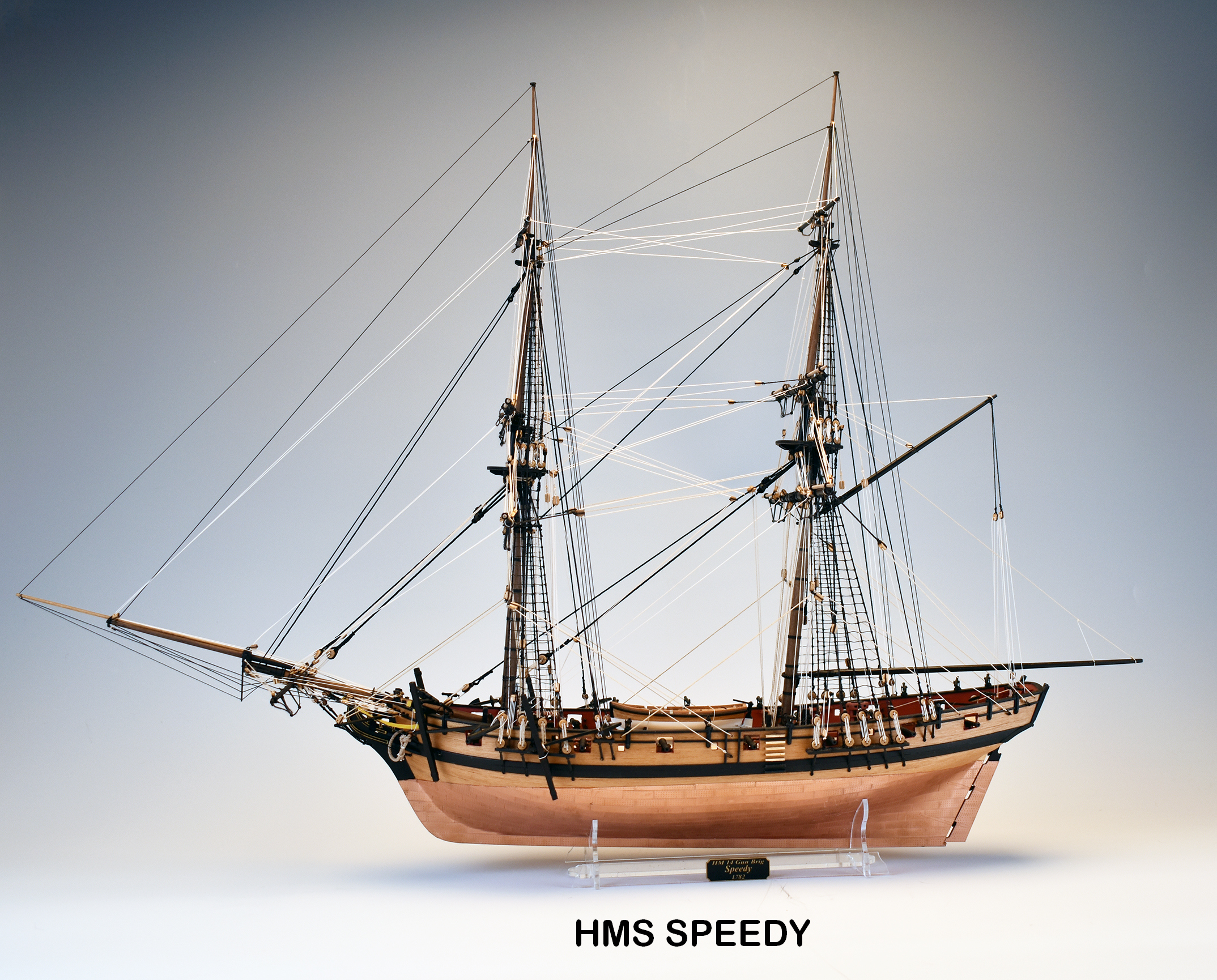 木製帆船模型キット Hmsスピーディ