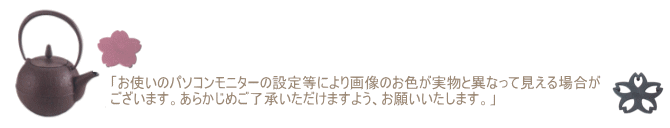 急須 sakura 0.6L（4色） 池永 南部鉄瓶 カラー（青竹・茶・ピンク・墨）