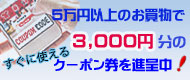 5万円以上のアンティーク家具購入で使用できる3000円のクーポン券